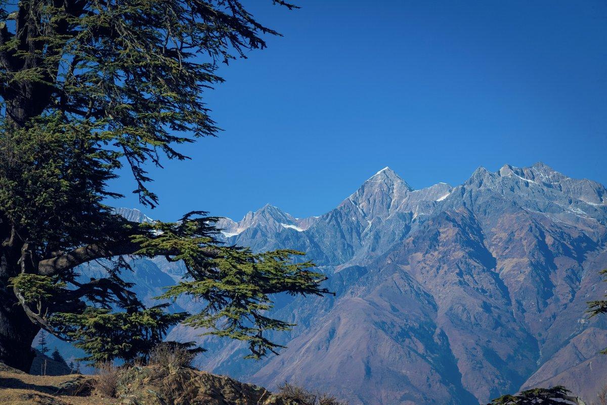 Best Time to Trek in Nepal: A Season-by-Season Guide